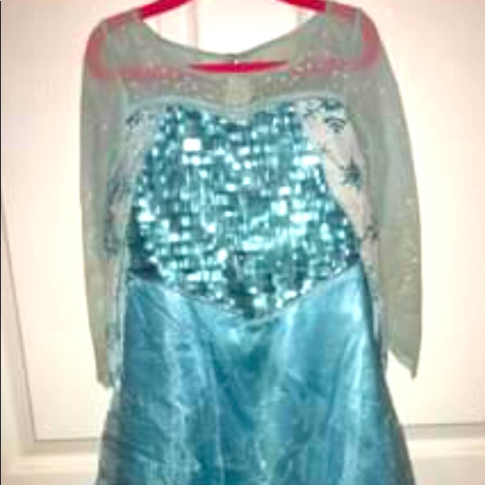 Frozen Elasa Costume